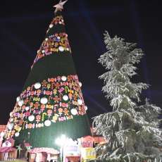 Encendido del Pino Navideño 2017 - Saltillo