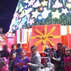 Encendido del Pinito Navideño 2018 en Saltillo