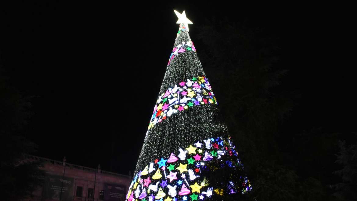 Pinos Saltillo 2018