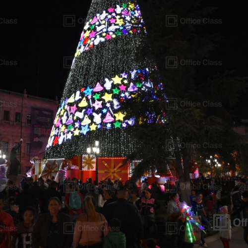 Encendido del Pinito Navideño 2018 en Saltillo